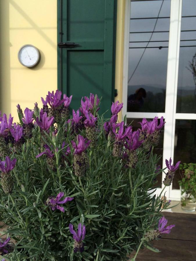 Il Giardino B&B Castelvetro di Modena Exteriör bild