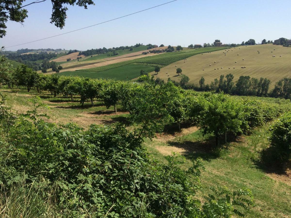Il Giardino B&B Castelvetro di Modena Exteriör bild