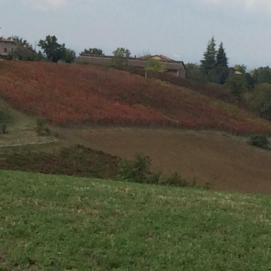 Il Giardino B&B Castelvetro di Modena Exteriör bild