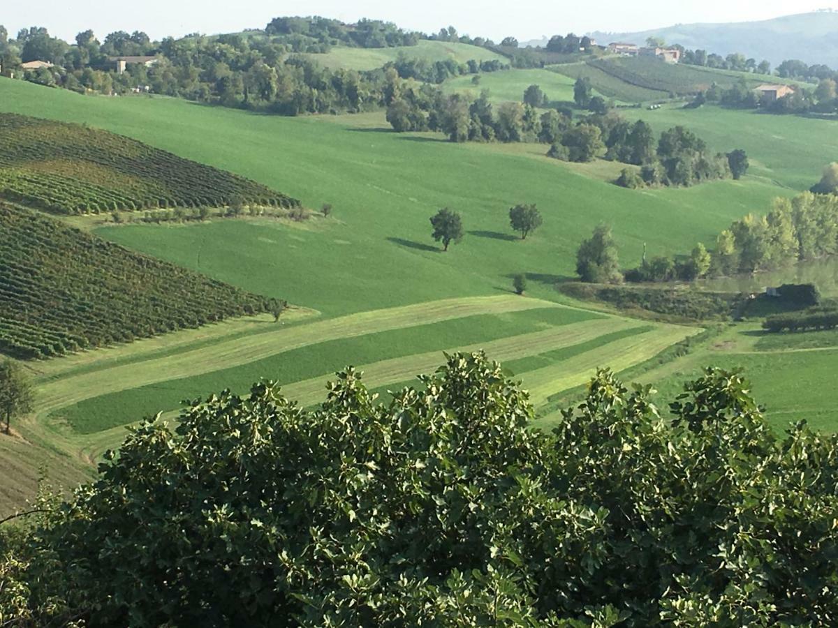 Il Giardino B&B Castelvetro di Modena Exteriör bild